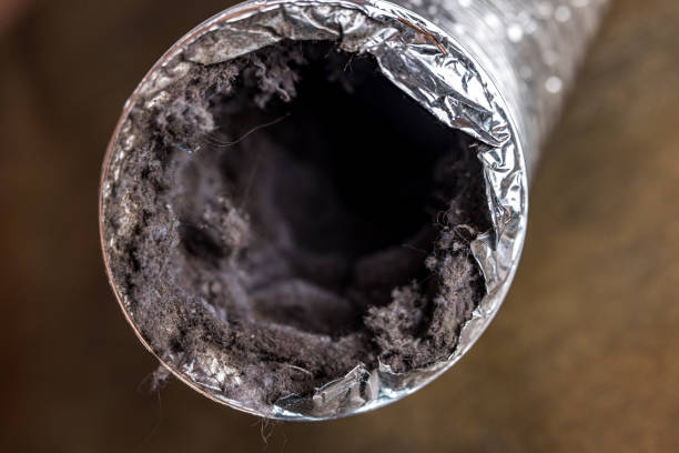 Best Residential Air Duct Cleaning  in Byhalia, MS